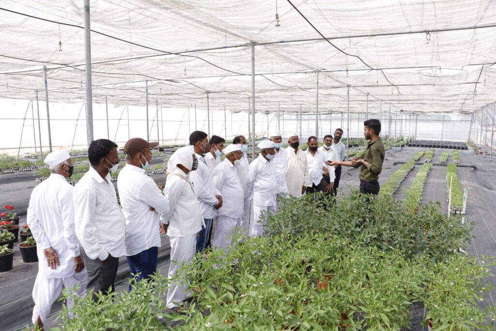 Organic sheti sendriya sheti